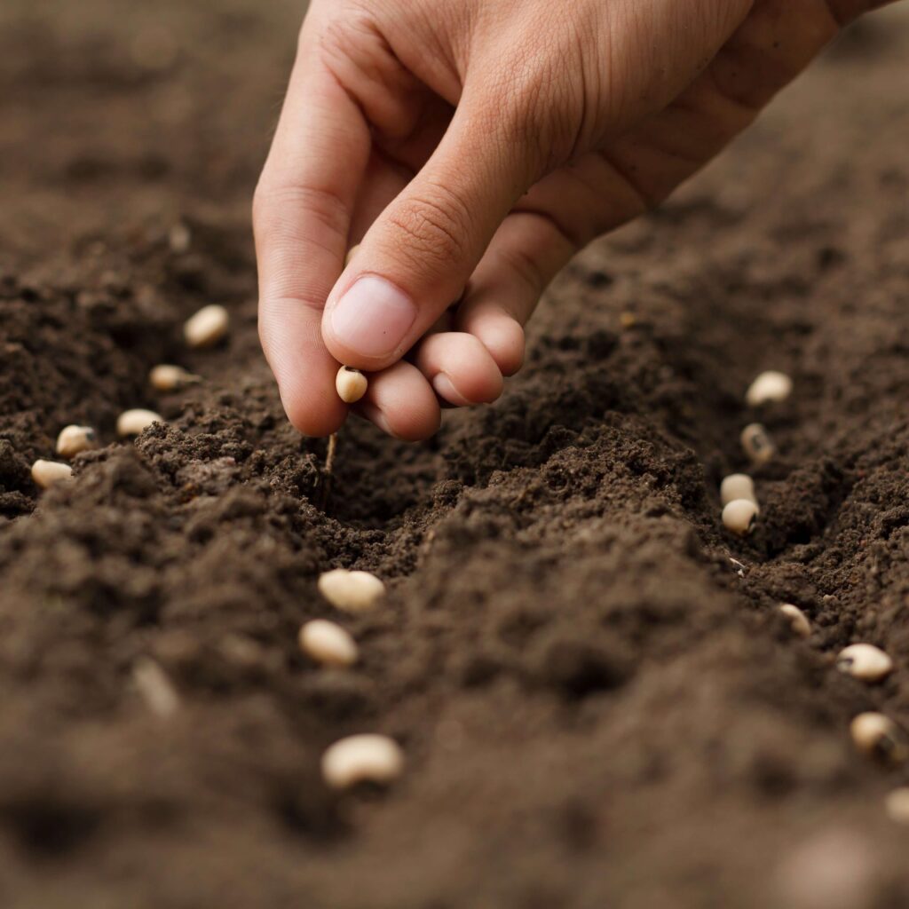 HERBOCAL — Calcium Carbonate Manufacturer in Minya, Egypt