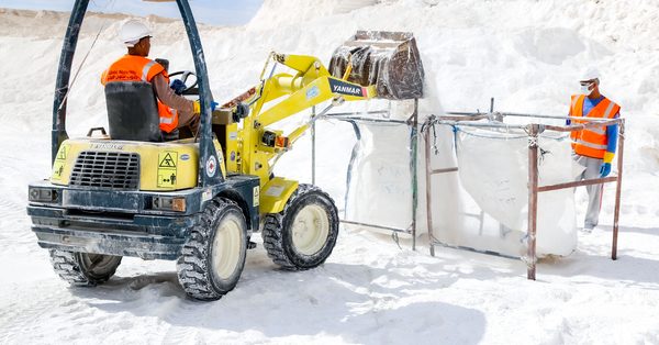 Egyptian GCC: Enhancing Paper and Packaging Quality in India