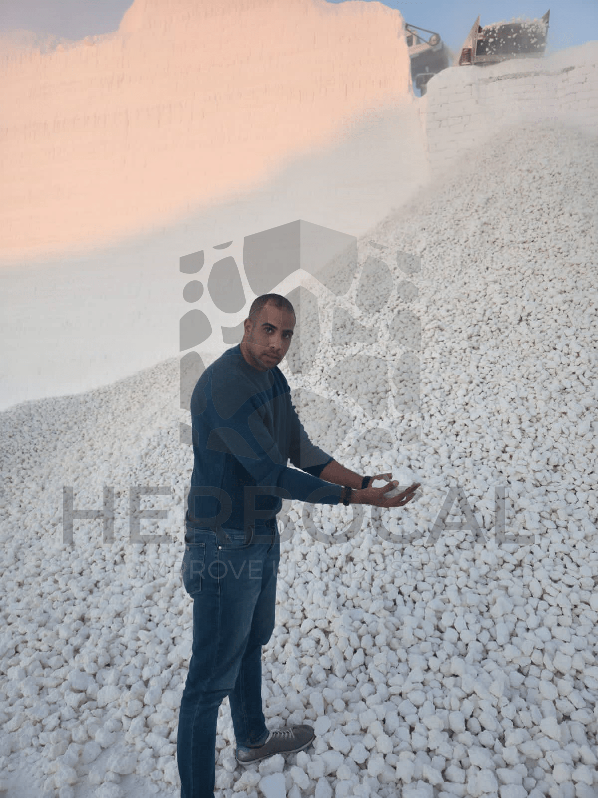 HERBOCAL — Calcium Carbonate Manufacturer in Minya, Egypt