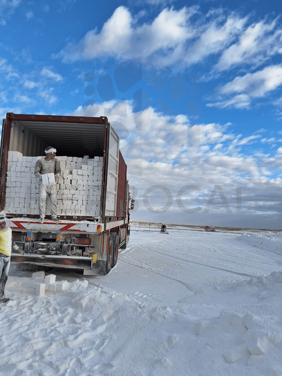 HERBOCAL — Calcium Carbonate Manufacturer in Minya, Egypt Micronized Calcium Carbonate: Supplying High-Brightness Solutions to South African Paint Producers