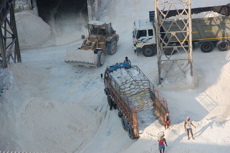 Calcium Carbonate Exporters: How HERBOCAL Is Expanding Service to South Africa’s Industrial Clients