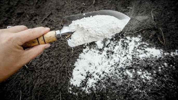 Industrial Minerals: HERBOCAL Supporting Africa’s Shift Toward Industrial Self-Reliance