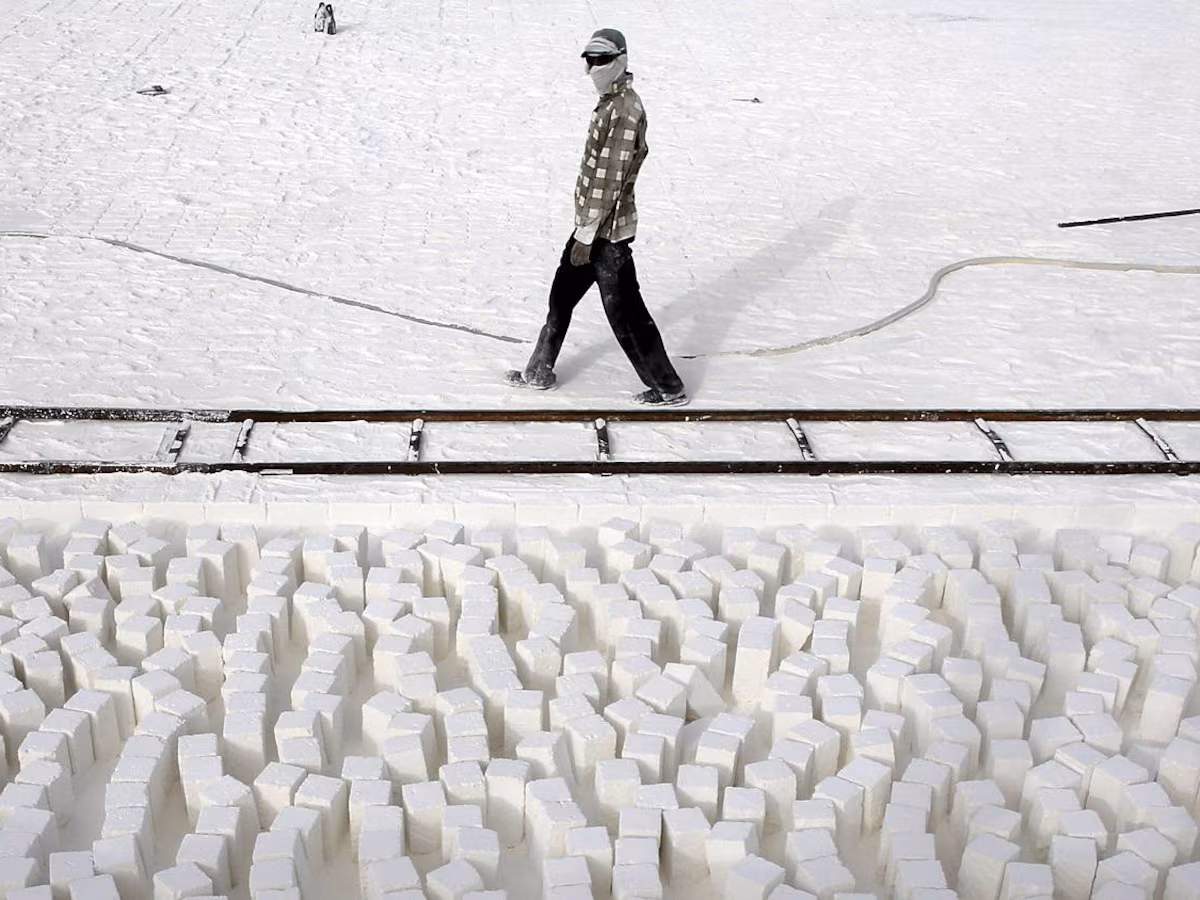 Calcium Carbonate Production: Why Egypt is The Trusted Supplier for Africa’s Growing Manufacturing Sector