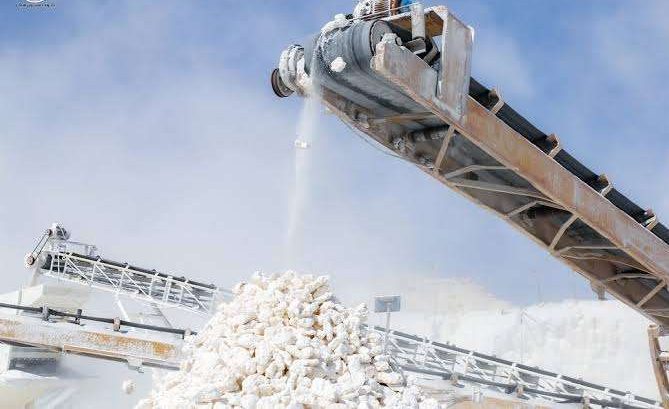 Calcium Carbonate Supplier: How HERBOCAL Offers Competitive Pricing Without Compromising Quality