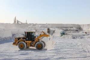 Calcium Carbonate Price: Egypt vs India – Comparing GCC Prices and Quality