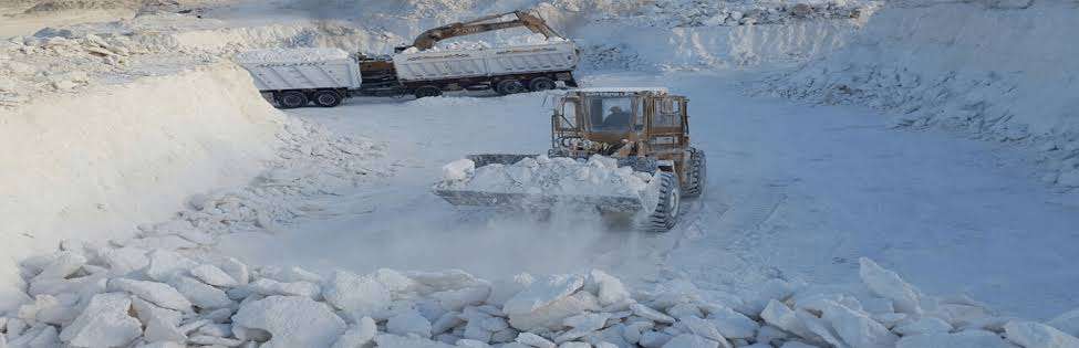 Shipping Costs in GCC Procurement: What Calcium Carbonate Buyers Should Consider