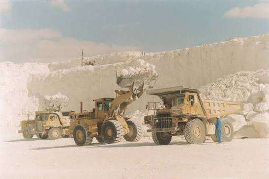 Calcium Carbonate Supplier: How HERBOCAL Offers Competitive Pricing Without Compromising Quality